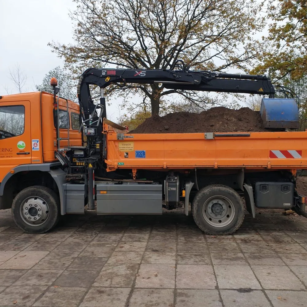 Baumtransport per Kran